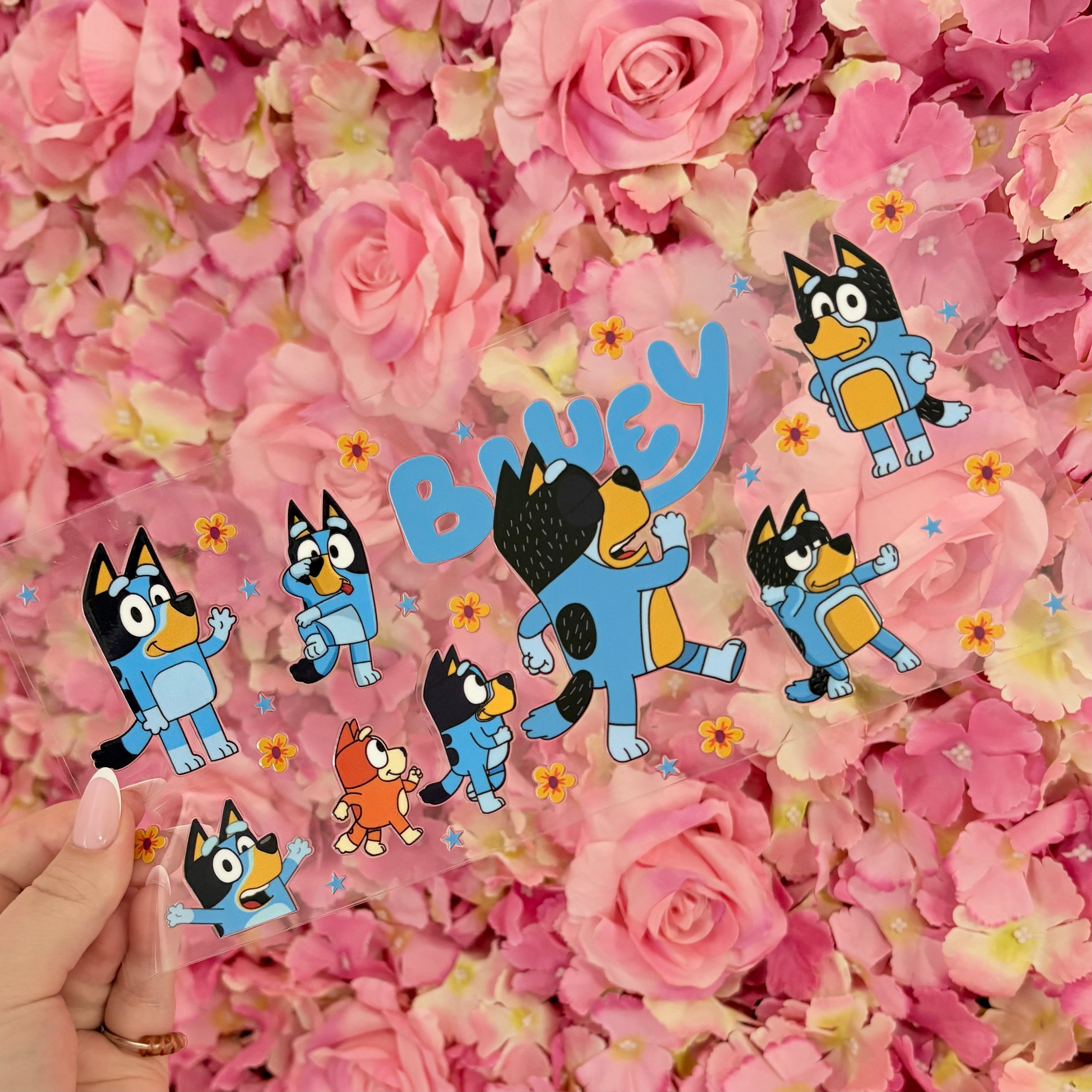 Bluey | 100